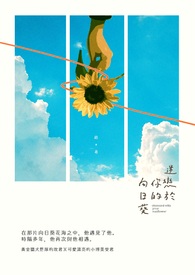 迷恋于你的向日葵小说封面