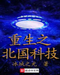 重生之北国科技小说封面