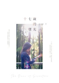 十七岁的曙光小说封面